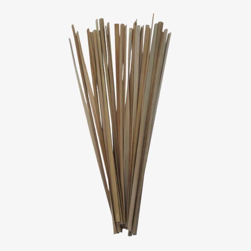 plantas-secas-decorativas